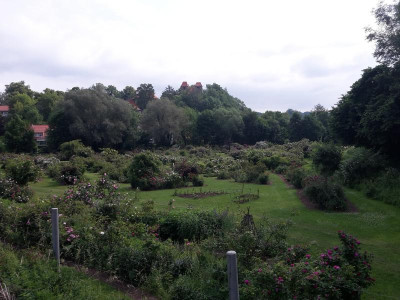 20180601_100948.jpg