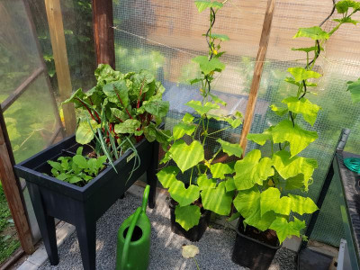 20180610_120052.jpg