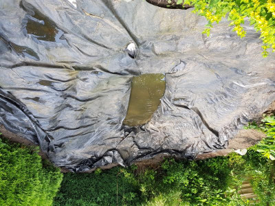 20180610_121708.jpg