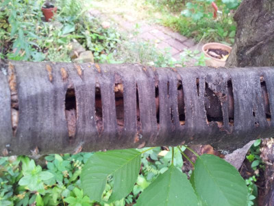 20180611_110241.jpg