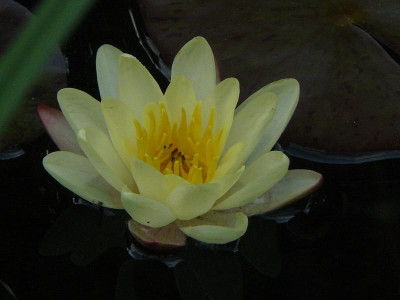 P1240803.JPG