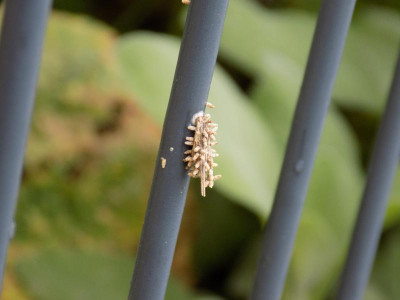 DSCN2677.JPG