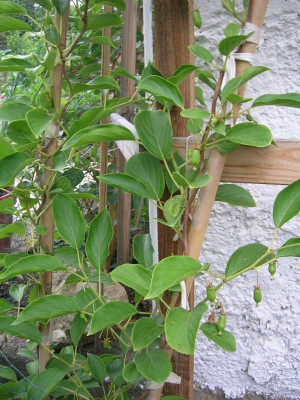 DSCN8504.JPG