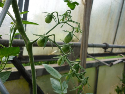 P1050021.JPG