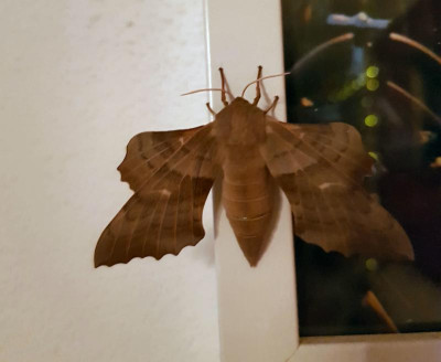 20180510_2212541.jpg