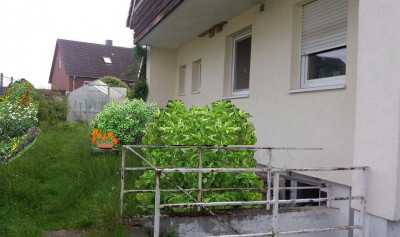 frauenschuh.jpg