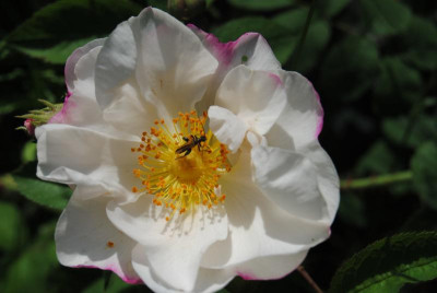 DSC_0215.JPG