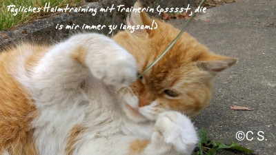 2018-06-14-10-01-54.jpg