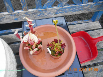 DSCN4802.JPG