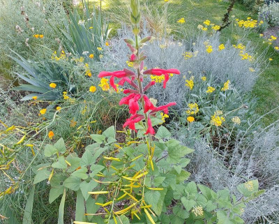 20180617_094023.jpg