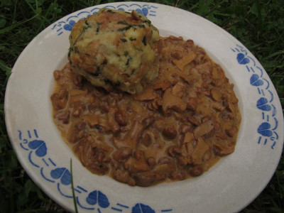 eierschwammerl1.img.JPG