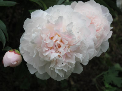 princessedenaumur3.img.JPG