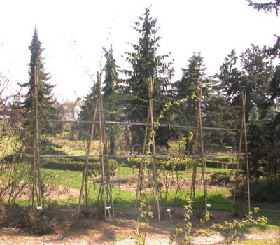 Funferrreihe_DSCN3071.jpg