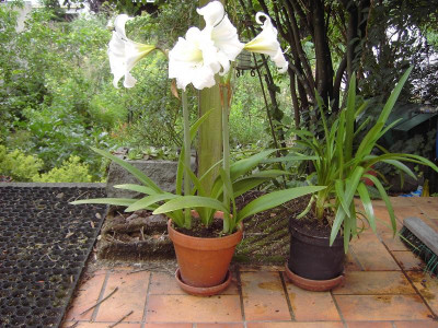 PICT2223.JPG
