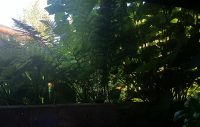 20180618_082257.jpg