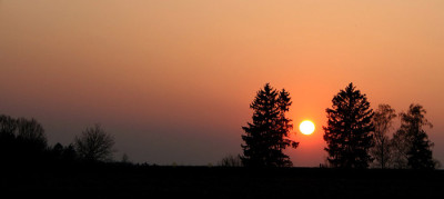 Sonne-zwischen-Baumen.jpg