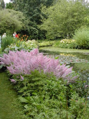Water_Garden.jpg