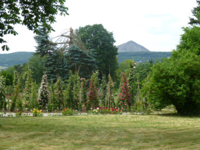 254.JPG