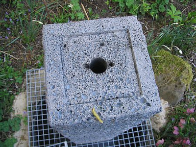 Rieselbrunnen_6.jpg