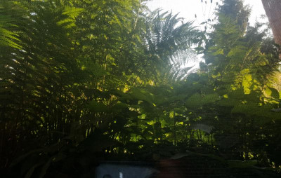 20180618_083047.jpg