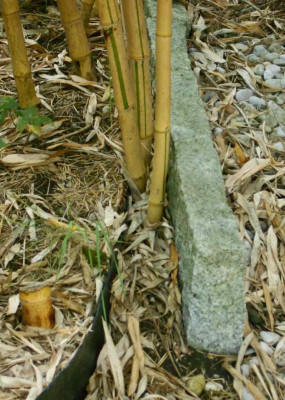 DSCN5829.jpg
