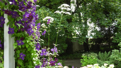 DSCN3172.JPG