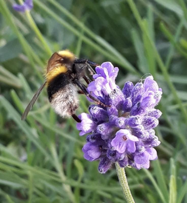 20180619_222108.jpg