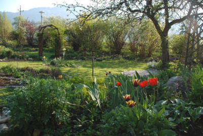 garten_im_april2.jpg