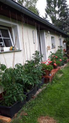 20180619_175059.jpg