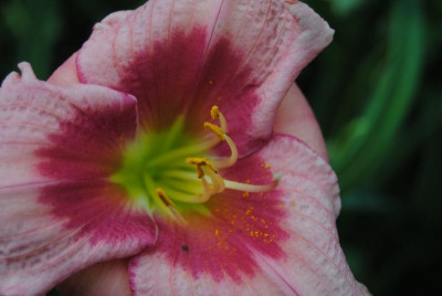 DSC_0329.JPG