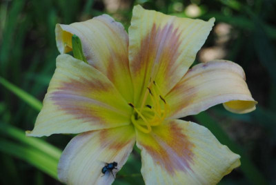 DSC_0404.JPG