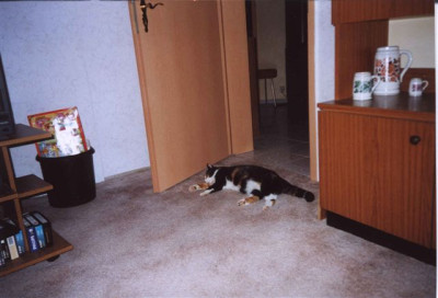 luder2a.jpg