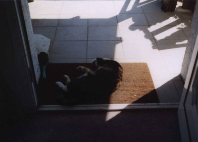 luder3a.jpg
