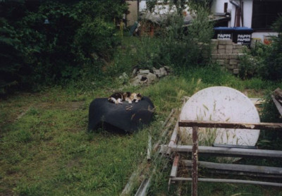 luder5a.jpg