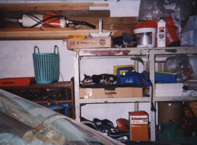 luder6a.jpg