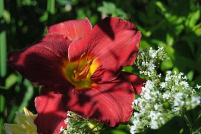 DSC_0445.JPG