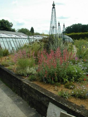 Phoenix_Nursery_Trockenbeet.jpg