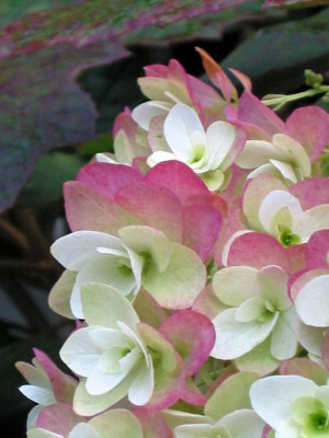 IMG_0059_edited.JPG