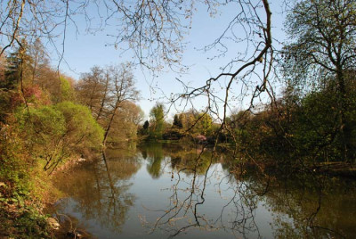 Romergpark-grosser-Teich-k.jpg