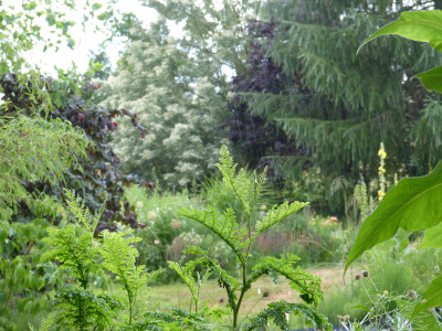 2018-06-22 Gartenimpressionen 2.jpg