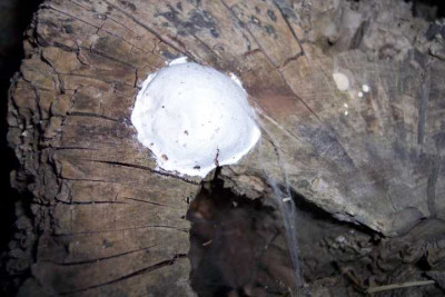 K640_100_3374.JPG