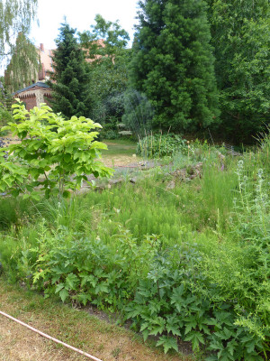 2018-06-22 Garteneinblick 2.jpg