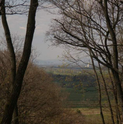 2007-04-08_blick_auf_wien.jpg