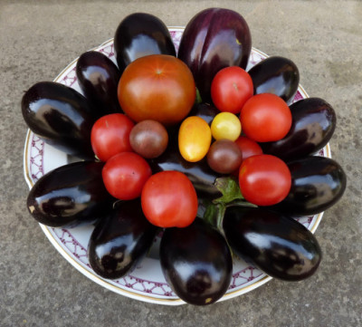 ernte_180622.jpg