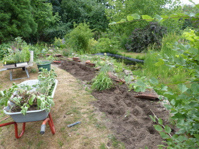 2018-06-23 Garteneinblick 2.jpg