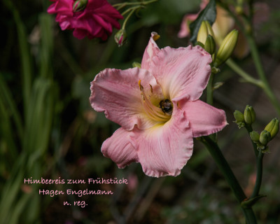 IMG_3028-4.jpg