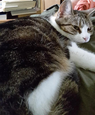 20180622_170728.jpg