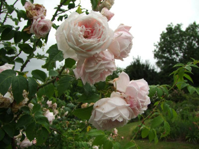 24.06.2018 11-49-01_4064.jpg