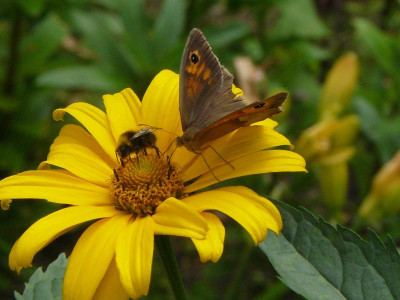 P1250069.JPG