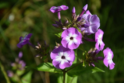 01.05.2013 007.JPG